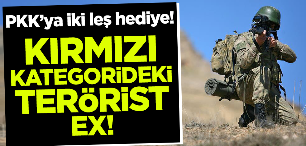 Kırmızı kategorideki 'Agit Bismil' kod adlı terörist öldürüldü