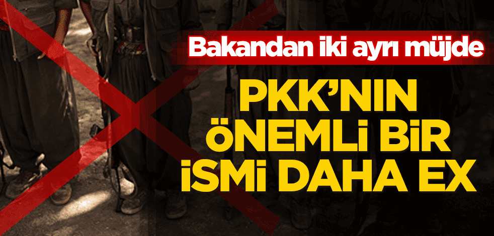 Kırmızı kategorideki PKK'lı terörist etkisiz hale getirildi