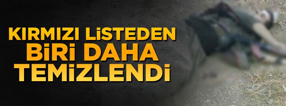 Kırmızı listede aranan PKK'lı terörist öldürüldü
