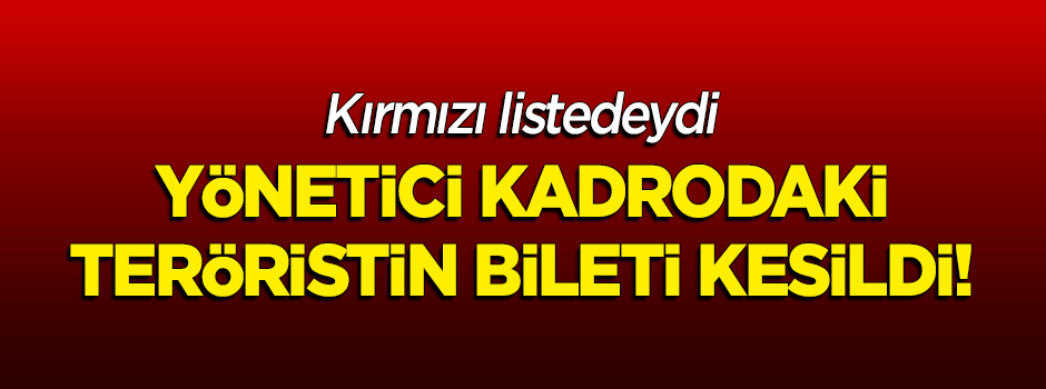 Kırmızı listedeki PKK'lı elebaşı terörist öldürüldü!