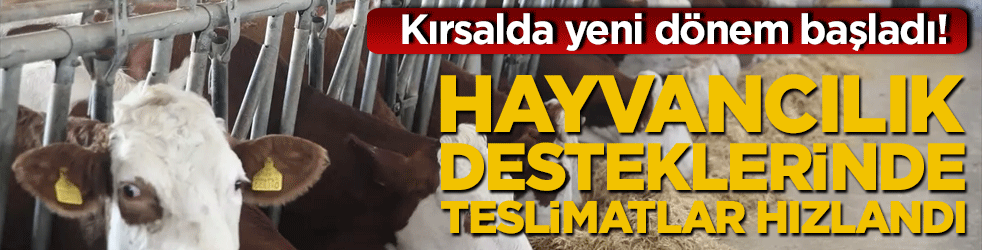 Kırsalda yeni dönem başladı! Hayvancılık desteklerinde teslimatlar hızlandı