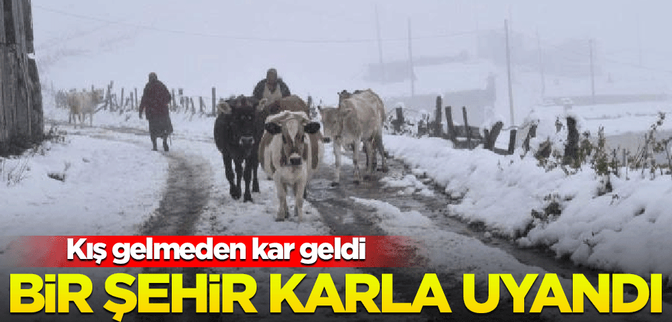 Kış gelmeden kar geldi! Kar kalınlığı 30 santimetreye ulaştı