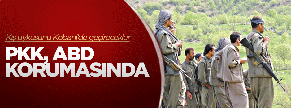 Kış uykusuna yatan PKK, ABD korumasında