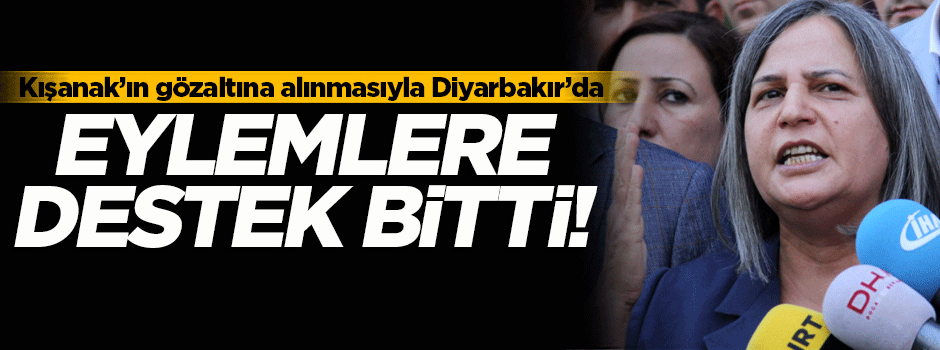 'Kışanak gözaltına alındı, eylemlere destek bitti'