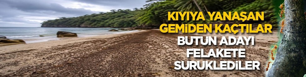 Kıyaya yanaşan gemiden kaçtılar bütün adayı felakete sürüklediler