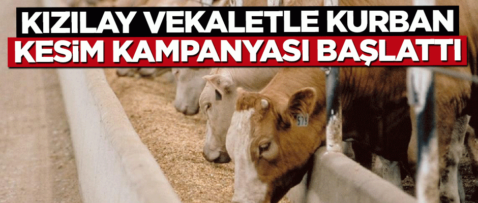 Kızılay Vekâletle Kurban Kesim Kampanyası başladı