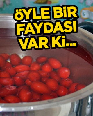 Kızılcık şerbeti nasıl yapılır? Sezonu açılıyor: Sadece 1 kg yeter! Salça gibi mayhoş tadı böyle olur!