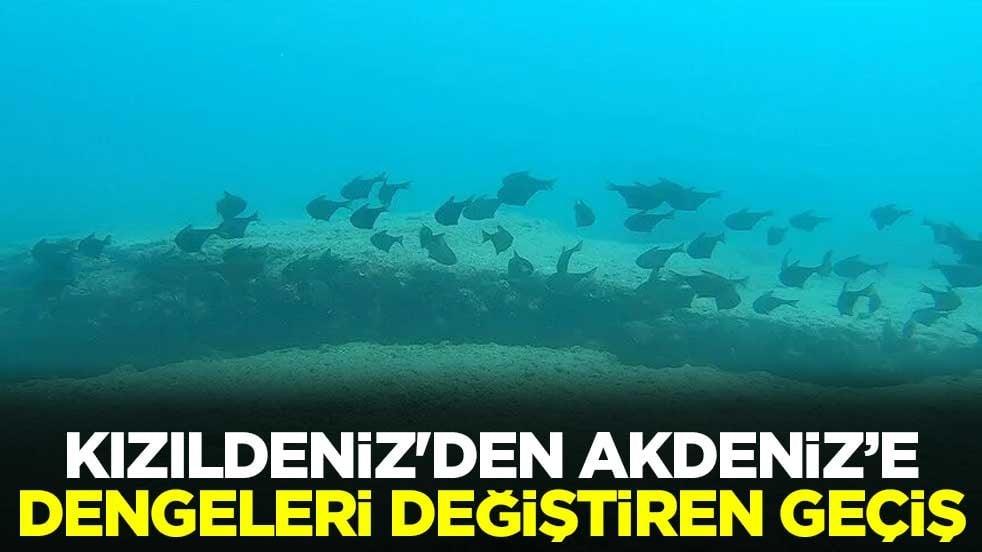 Kızıldeniz'den Akdeniz’e dengeleri değiştiren geçiş