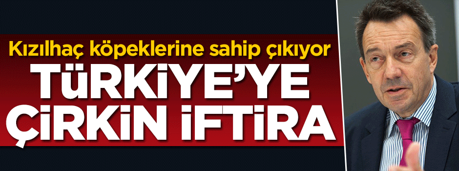 Kızılhaç köpeklerine sahip çıkıyor! Türkiye'ye çirkin iftira
