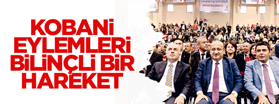 Kobani eylemleri bilinçli bir hareket