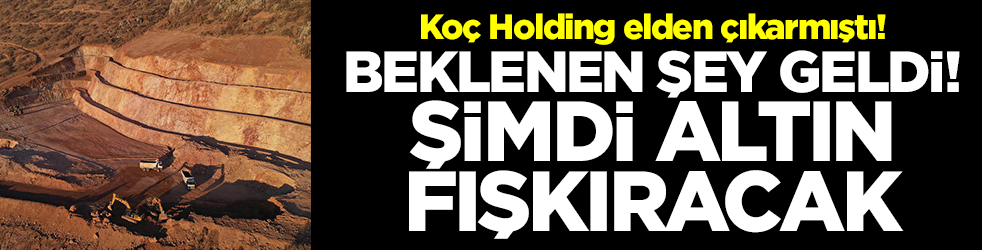 Koç Holding elden çıkarmıştı: Beklenen şey geldi, şimdi altın fışkıracak