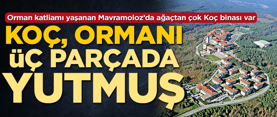 Koç, ormanı üç parçada yutmuş