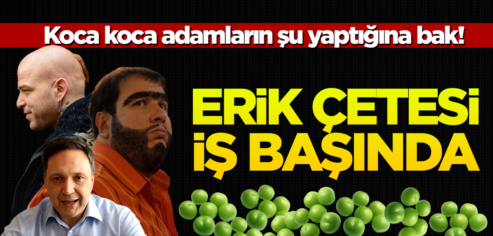 Koca koca adamların şu yaptığına bak! Erik çetesi iş başında