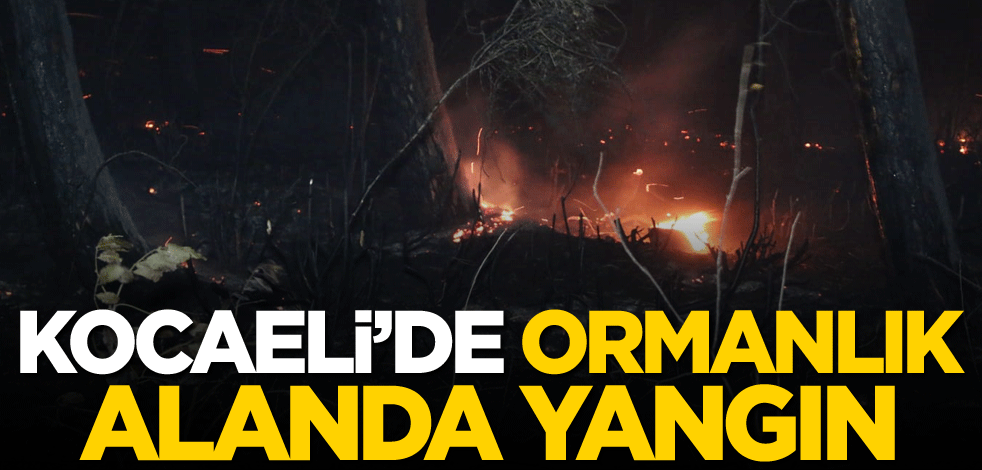 Kocaeli'de ormanlık alanda yangın