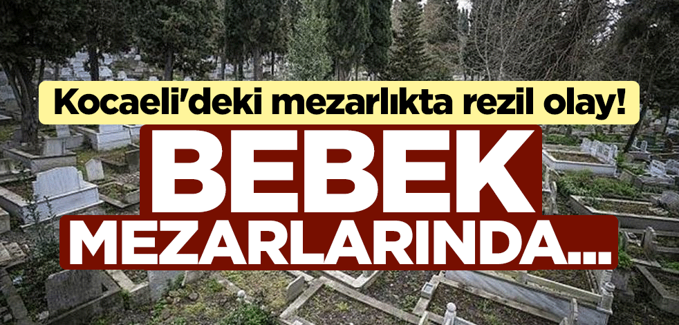 Kocaeli'deki mezarlıkta rezil olay! Bebek mezarlarında...