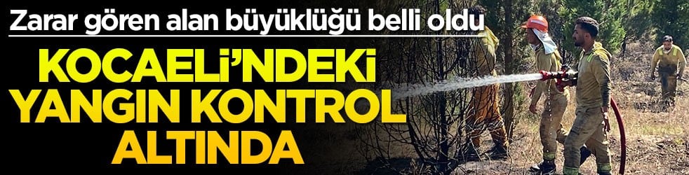 Kocaeli'ndeki yangın kontrol altında! Zarar gören alan büyüklüğü belli oldu
