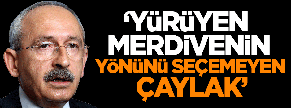 Koçak: Yürüyen merdivenin yönünü seçemeyen çaylak