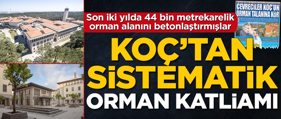 Koç’tan sistematik orman katliamı