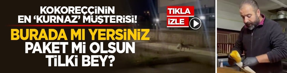 Kokoreççinin en ‘kurnaz’ müşterisi! Burada mı yersiniz, paket mi olsun Tilki Bey?
