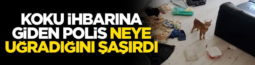 Koku ihbarına giden polis neye uğradığını şaşırdı