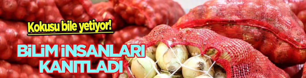  Kokusu bile yetiyor! Bilim insanları kanıtladı: Soğan tutkunlarının gizli genetik avantajı