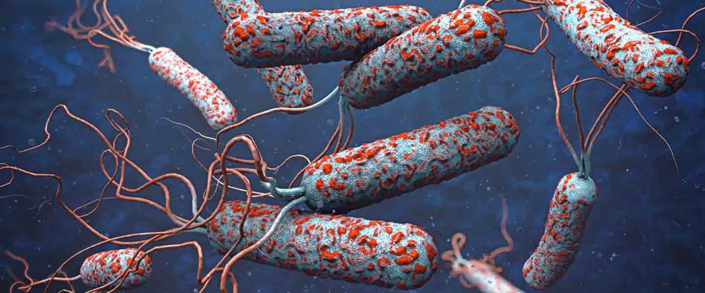 Kolera nedir ve nasıl bulaşır? Koleraya sebep olan bakteri nedir?