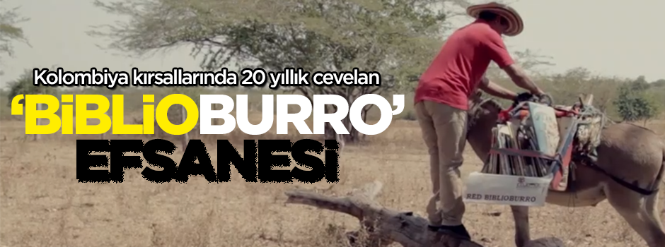 Kolombiya kırsallarında 20 yıllık cevelan: 'Biblioburro' efsanesi