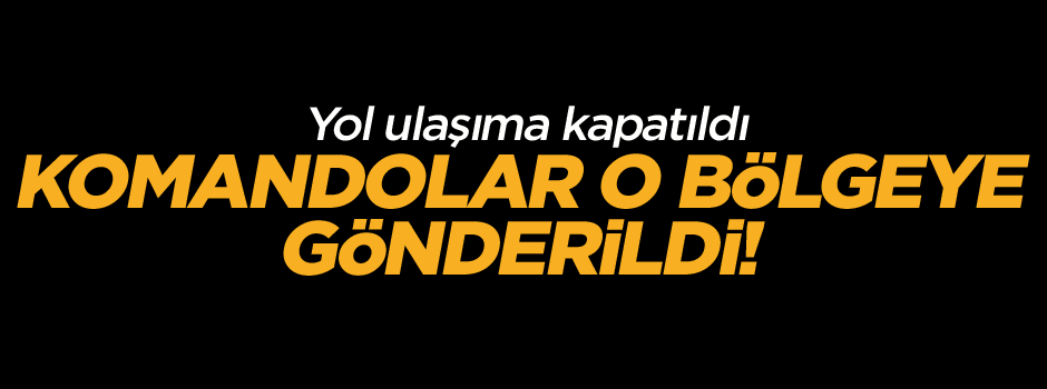 Komandolar o bölgeye gitti!
