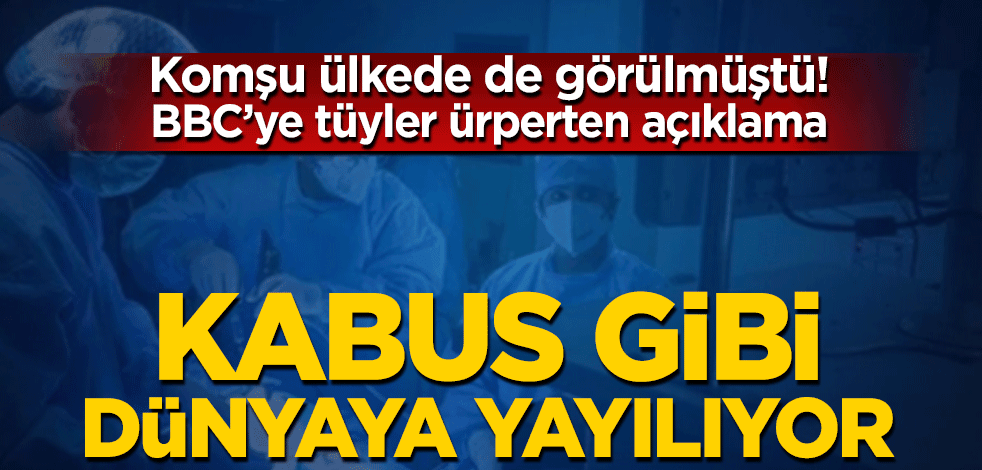 Komşu ülkede de görülmüştü! Kara mantar kabus gibi dünyaya yayılıyor