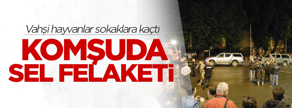 Komşuda sel felaketi