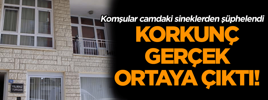 Komşular camdaki sineklerden şüphelendi, korkunç gerçek ortaya çıktı!