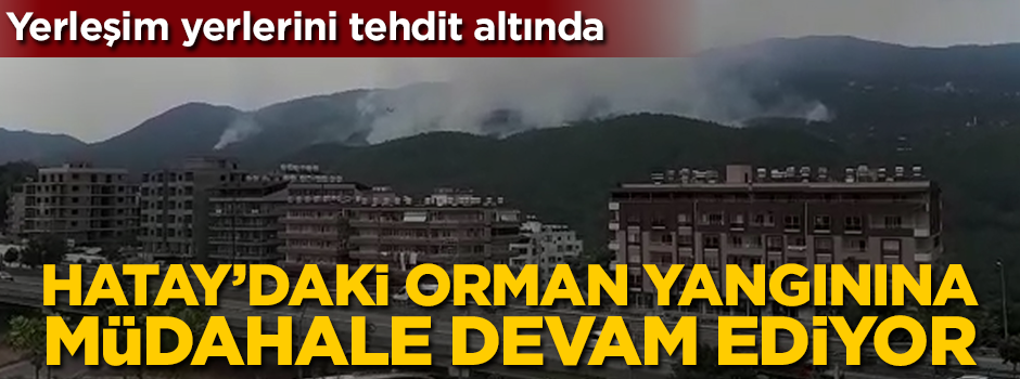 Kontrol altına alınamadı! Yangın yerleşim yerlerini tehdit ediyor