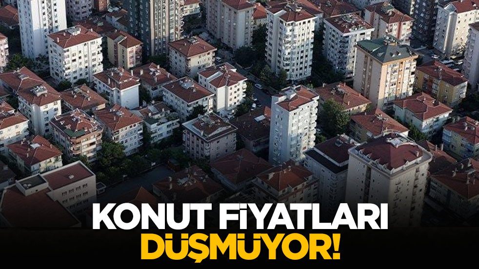 Konut fiyatları düşmüyor!