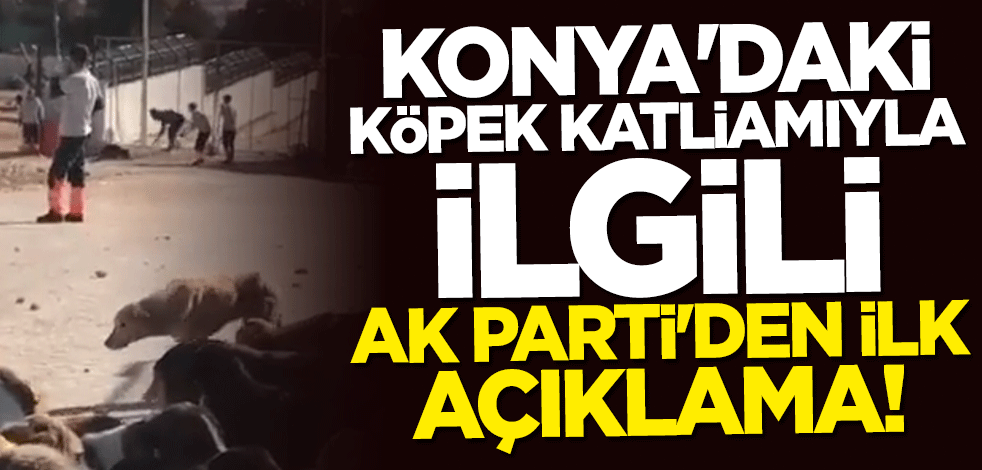 Konya'daki köpek katliamıyla ilgili AK Parti'den ilk açıklama