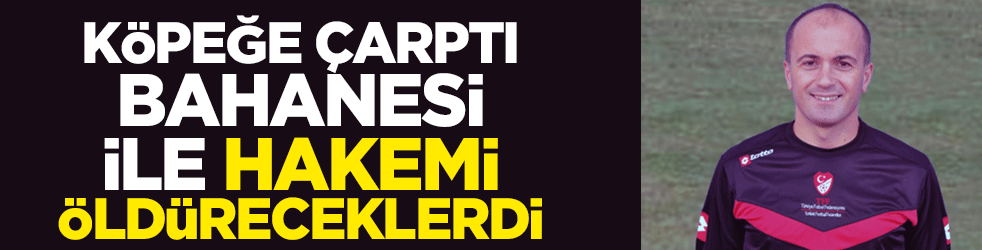 Köpeğe çarptı bahanesiyle hakemi öldüreceklerdi