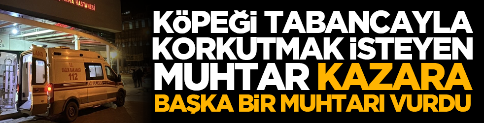 Köpeği tabancayla korkutmak isteyen muhtar kazara başka bir muhtarı vurdu