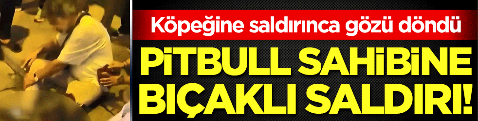 Köpeğine saldırınca gözü döndü: Pitbull sahibine bıçaklı saldırı!