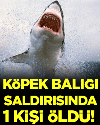 Köpek balığı saldırısında 1 kişi hayatını kaybetti!