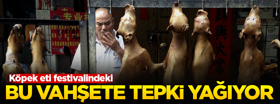 Köpek eti festivalindeki vahşete tepki yağıyor