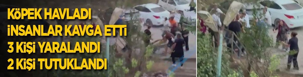 Köpek havladı, insanlar kavga etti, 3 kişi hastanelik oldu, 2 kişi tutuklandı