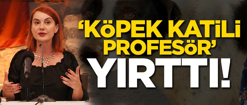 'Köpek katili profesör' yırttı