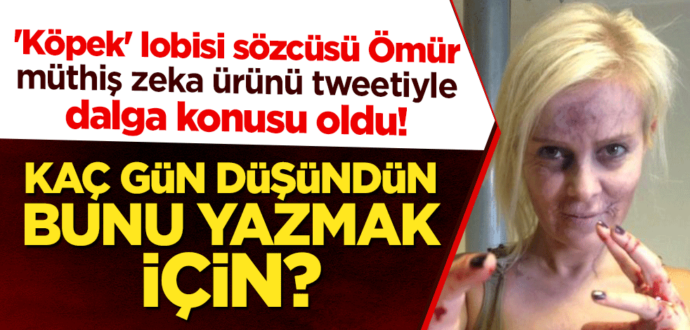 'Köpek' lobisi sözcüsü Ömür Gedik, 'müthiş zeka ürünü' tweetiyle dalga konusu oldu! Kaç gün düşündün bunu yazmak için?