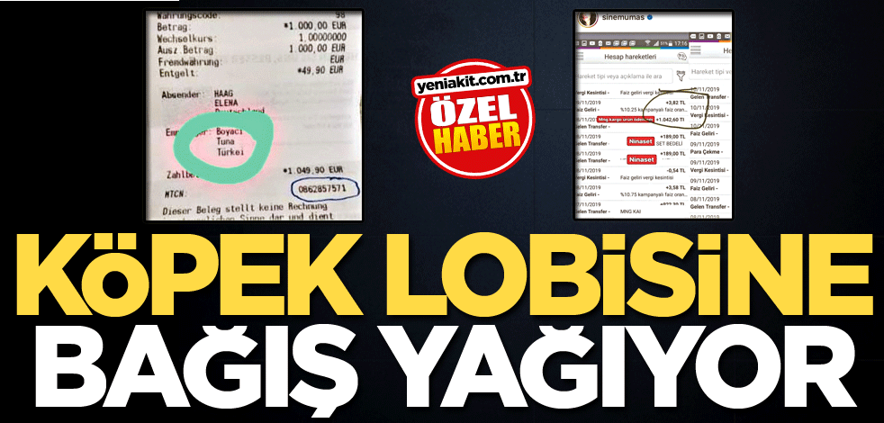 Köpek lobisine bağış yağıyor