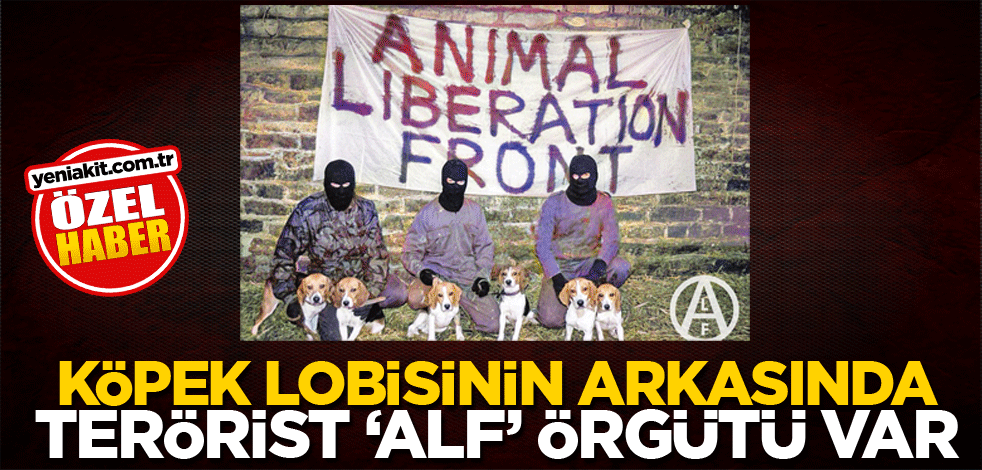 Köpek lobisinin arkasında terörist "ALF" örgütü var