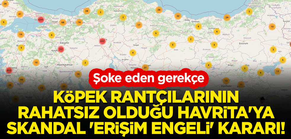 Köpek rantçılarının rahatsız olduğu Havrita'ya skandal 'erişim engeli' kararı! Şoke eden gerekçe