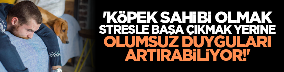 'Köpek sahibi olmak stresle başa çıkmak yerine olumsuz duyguları artırabiliyor!'