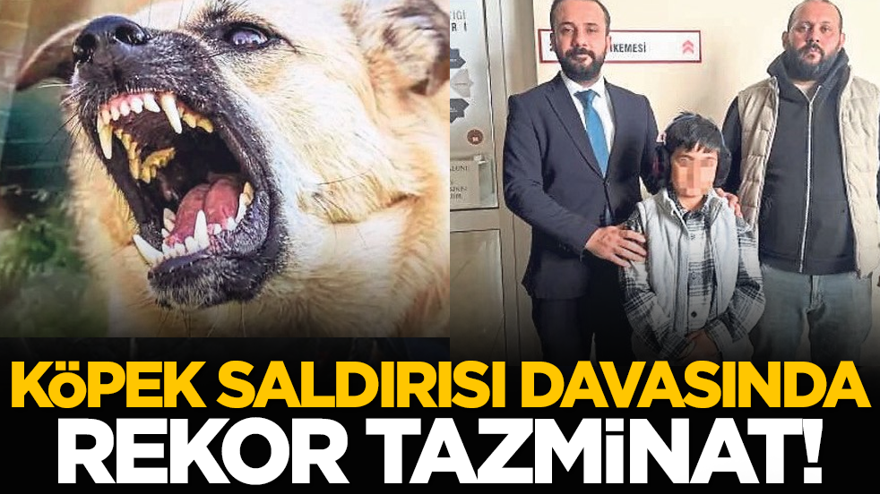 Köpek saldırısı davasında rekor tazminat!