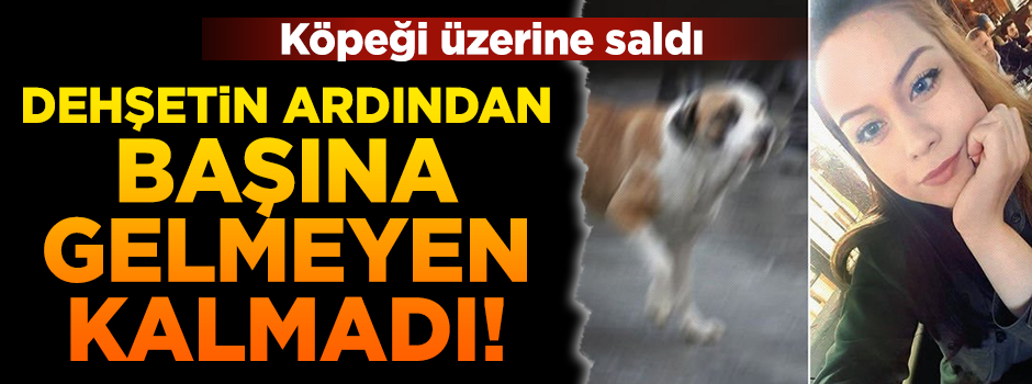 Köpek saldırısına uğrayan genç kız hem işinden hem de evinden oldu