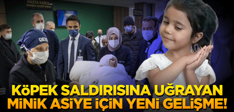 Köpek saldırısına uğrayan Minik Asiye için yeni gelişme!