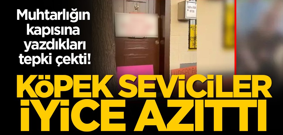 Köpek seviciler iyice azıttı! Muhtarlık binasına astıkları yazı tepki çekti